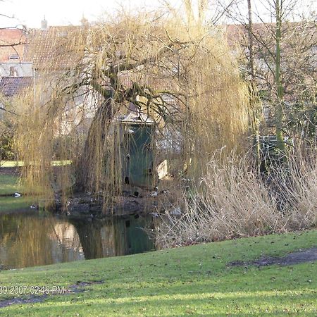 B&B Het Rommelwater Gent Eksteriør billede